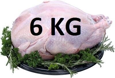 06 kg Verse hele kalkoen